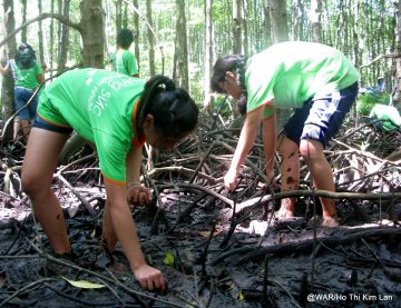 Discovering nature of Can Gio Mangrove Forest