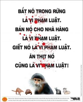 Áp phích WAR – Chiến dịch tuyên truyền không buôn bán thịt rừng (Tiếng Việt)