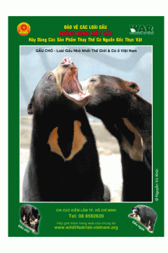 WAR Poster – Bear Bile Campaign (Vietnamese)