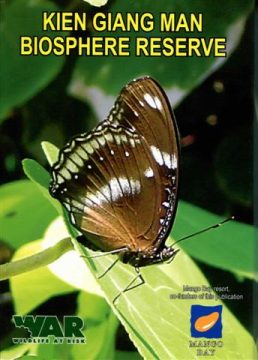 Twenty Postcards of Phu Quoc Butterflies, 2007.