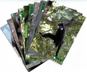 Ten Postcards of Vietnamese Wildlife, 2005
