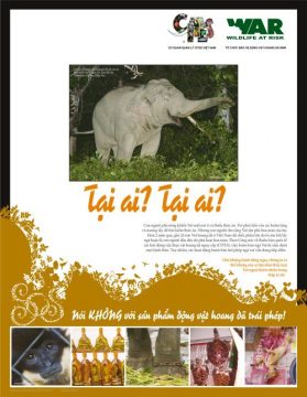 WAR Poster - Asian Elephant (Vietnamese)