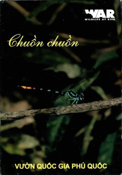 Dragonflies and Damselflies of Phu Quoc Postcard