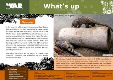 What's Up: Issue 19 (September 2012)