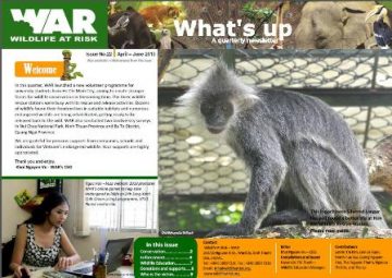 What's Up: Issue 22 (June 2013)