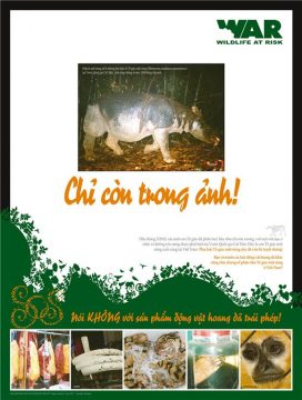 Official launch of the SOS traveling exhibition - Remembrance poster for the Javan Rhino