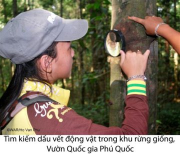 New programme for students to discover the forest of Phu Quoc