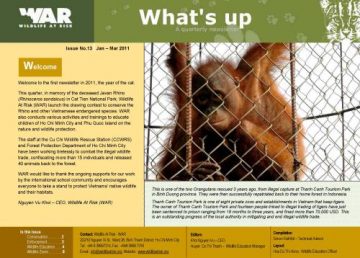 What's Up: Issue 13 (March 2011)