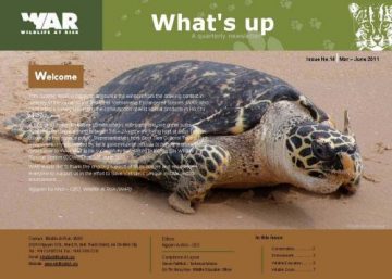 What's Up: Issue 14 (June 2011)