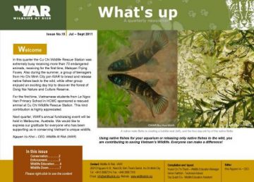 What's Up: Issue 15 (September 2011)