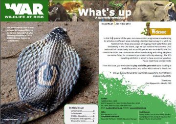 What's Up: Issue 21 (Mar. 2013)