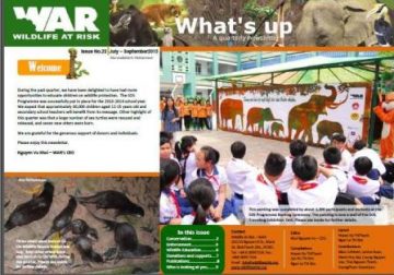 What's Up: Issue 23 (Sep. 2013)