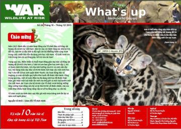 What's Up: Issue 24 (Dec. 2013)