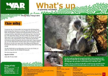 What's Up: Issue 25 (Mar. 2014)