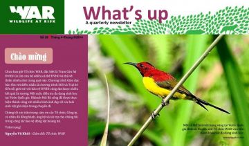 What's Up: Issue 26 (Jun. 2014)