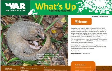 What's Up: Issue 29 (Mar. 2015)