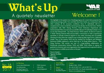 What's Up: Issue 38 (July 2017)