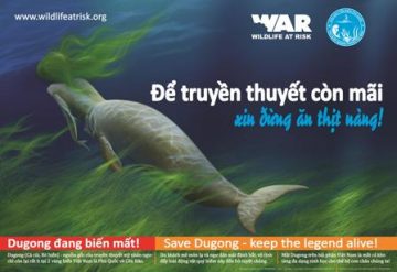 Save Dugong poster, for tourist