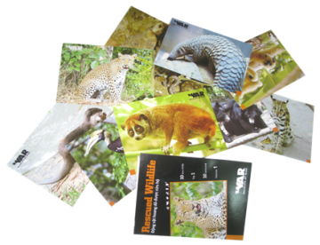 Bộ bưu thiếp “Động vật hoang dã được cứu hộ” – tập 1.