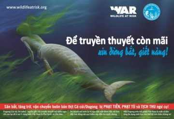Save Dugong poster, for local people