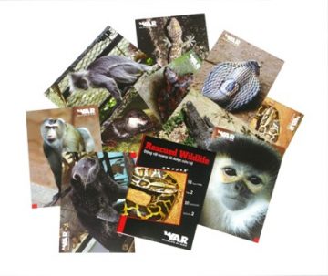 Rescued wildlife postcards - Volume 2