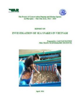 Báo cáo khảo sát về Rắn biển ở Việt Nam