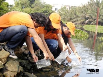 More than 200 native fish released back to the wild