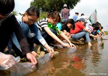 University students released native fish back to the wild