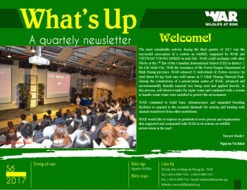 What's up: Issue 39 (Q.3 - 2017)