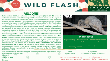 Wildlife Flash: Issue 44 (Jan-Jun 2020)