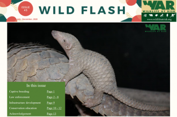 Wildlife Flash: Issue 45 (Jul-Dec 2020)