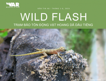 Wildlife Flash: Issue 46 (Jan-Jun 2021)