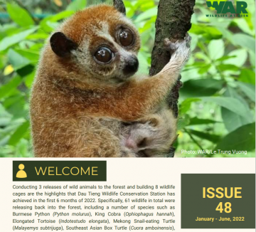 Wildlife Flash: Issue 48 (Jan-June, 2022)