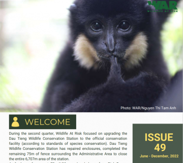 Wildlife Flash: Issue 49 (Jul-Dec, 2022)